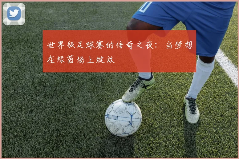 世界级足球赛的传奇之夜：当梦想在绿茵场上绽放